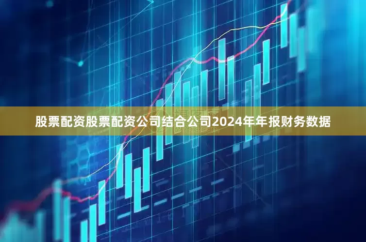 股票配资股票配资公司结合公司2024年年报财务数据